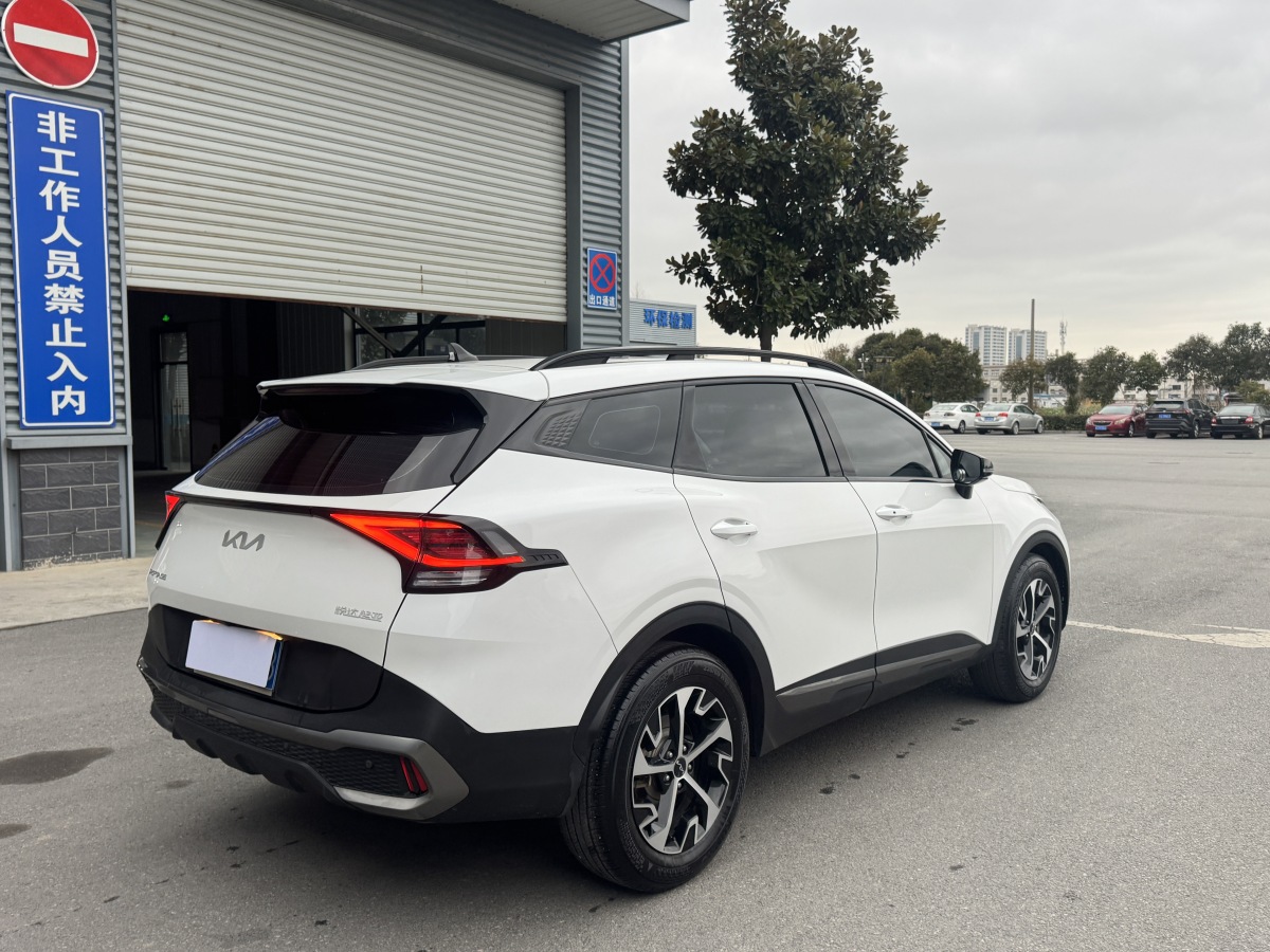 Kia Sportage 2024 car image #10