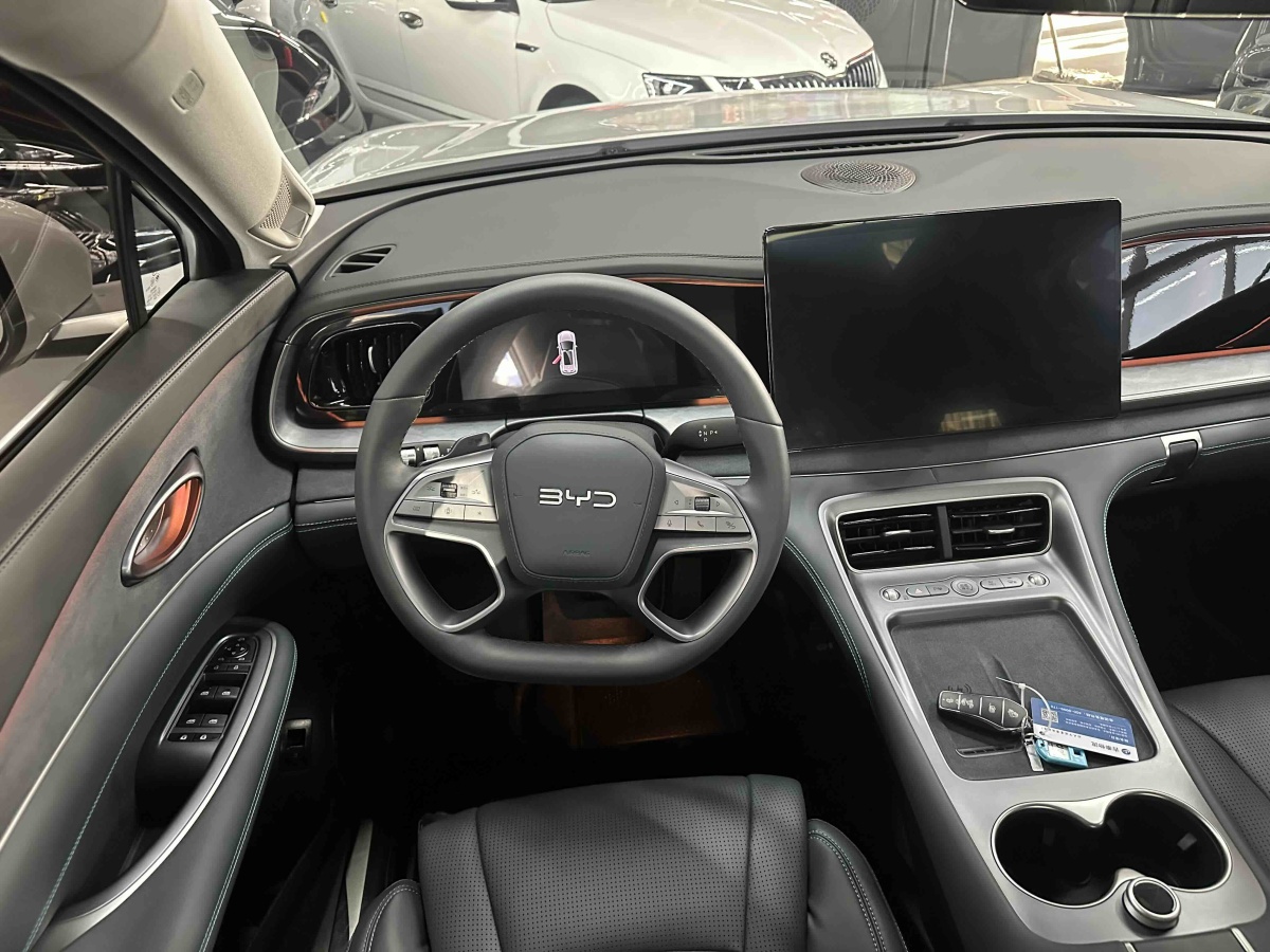 BYD Sea Lion 07 DM-i 2025 car image #10