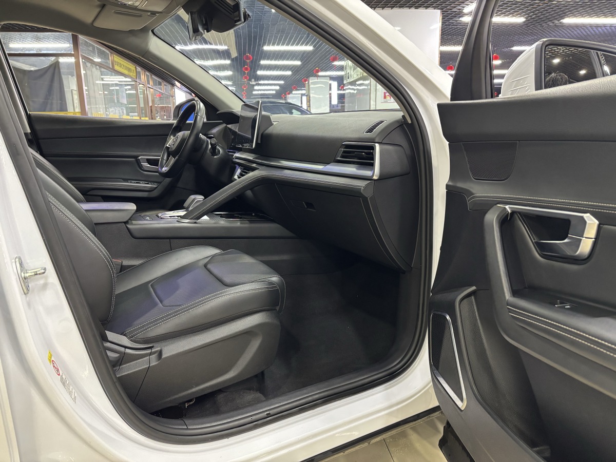 BYD Song Pro 2020 immagine di auto #10