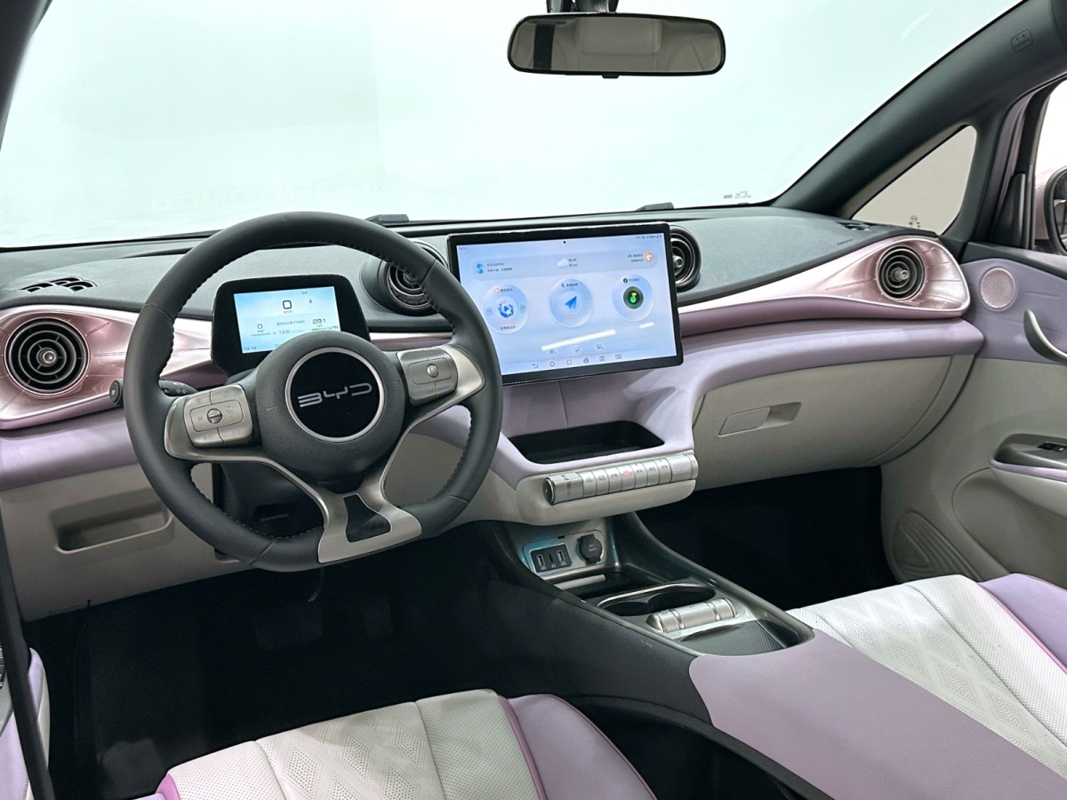 BYD Dolphin 2024 #10 BYD Dolphin 2024 car image #10