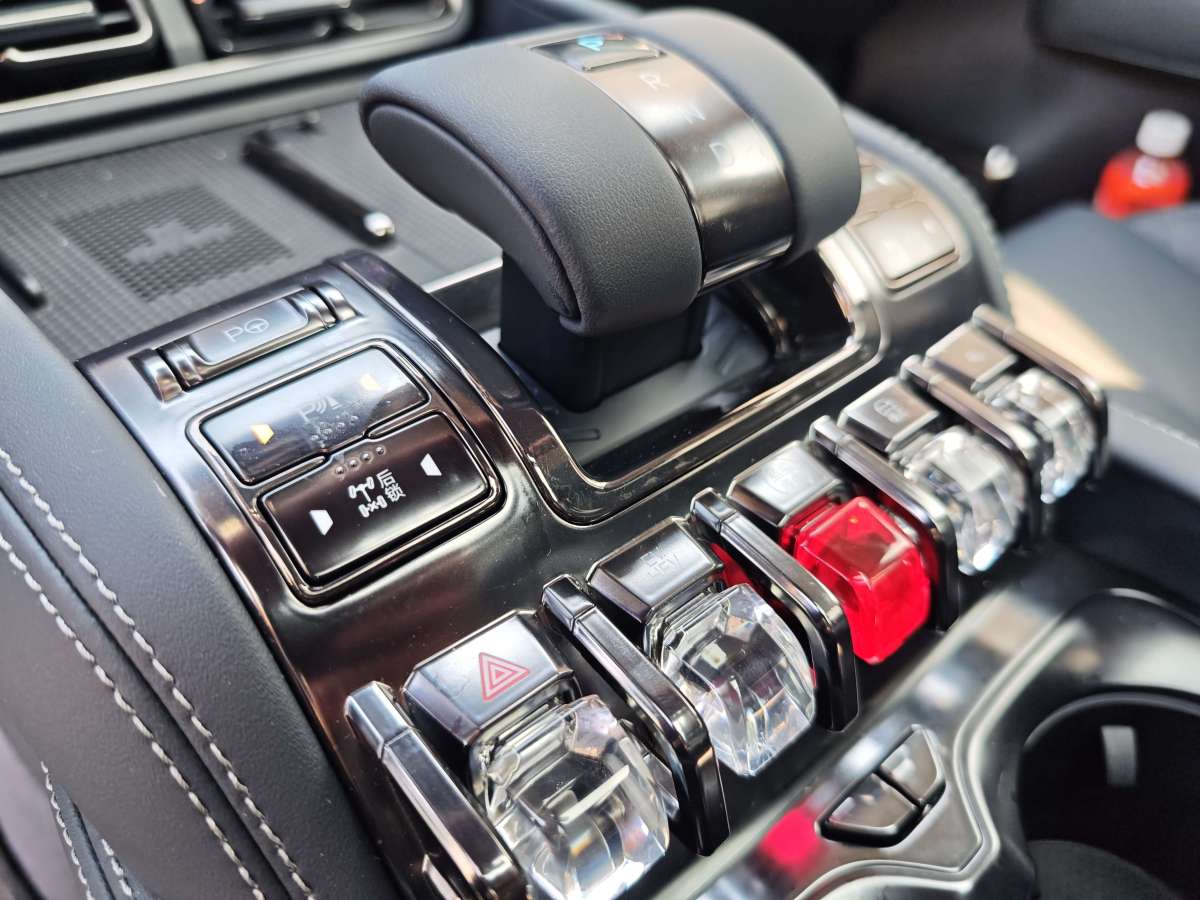 FangChengBao Leopard 5 2025 #10 FangChengBao Leopard 5 2025 immagine di auto #10