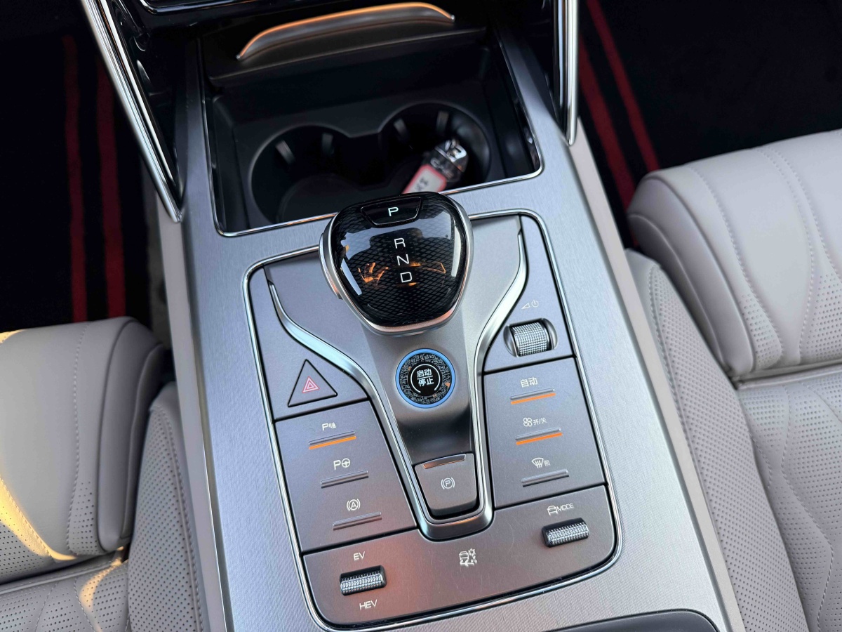 BYD Tang New Energy 2025 car image #10