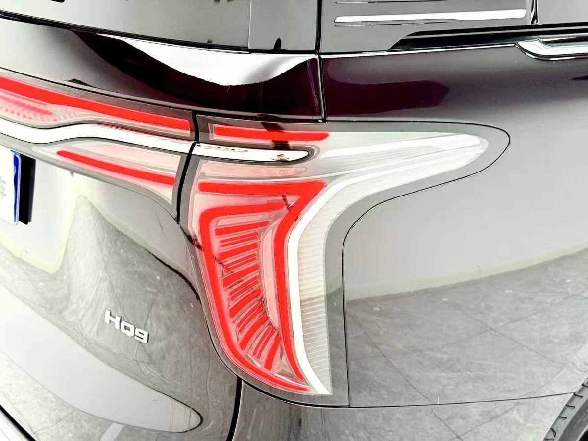 HongQi HQ9 2022 #10 HongQi HQ9 2022 car image #10