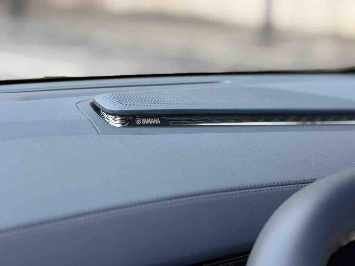 极氪 极氪009 2024 汽车图片 #10