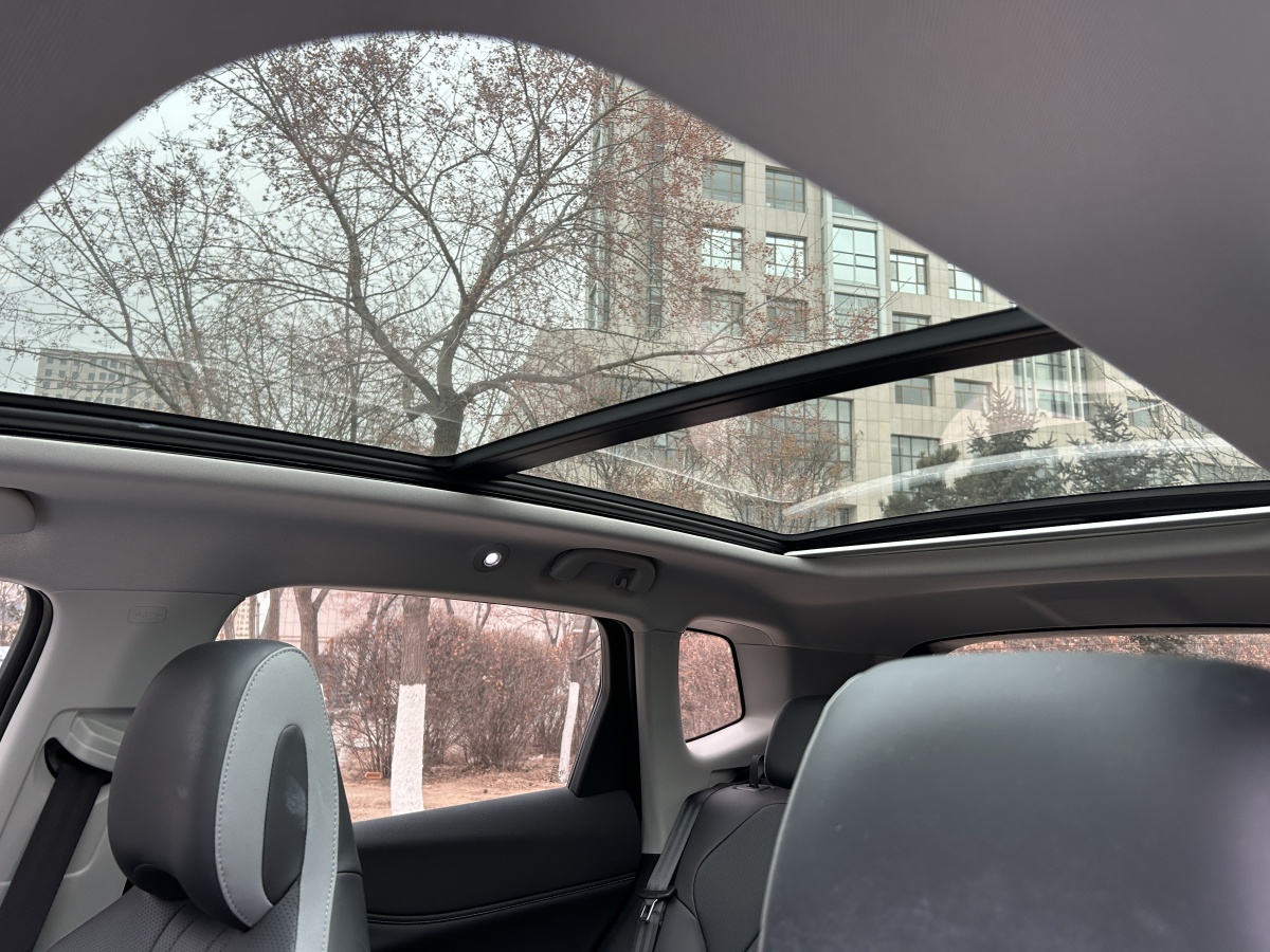 BYD Sea Lion 05 DM-i 2025 car image #10