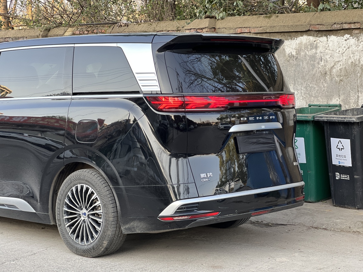 Denza D9 2023 image de voiture #10