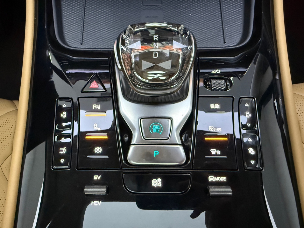 Denza D9 2024 immagine di auto #10