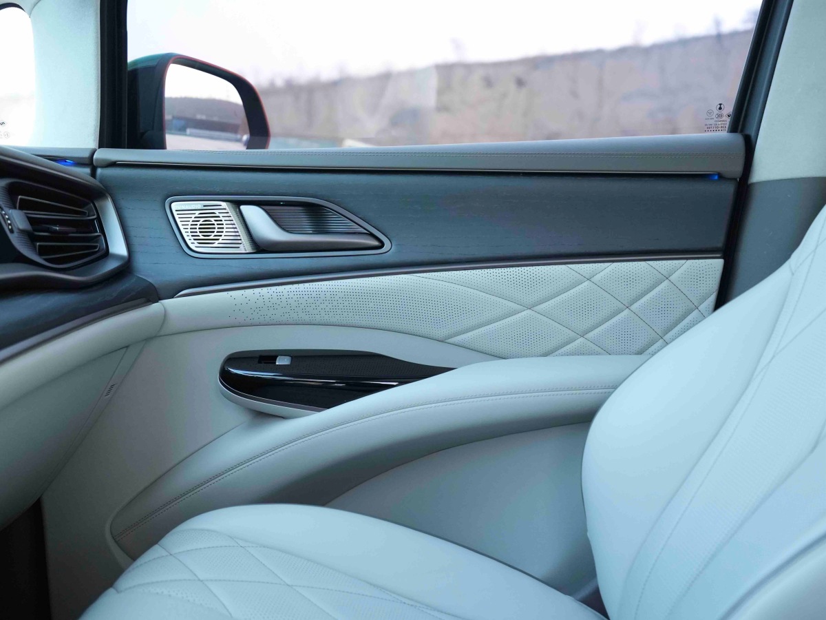 Denza D9 2023 imagem de carro #10