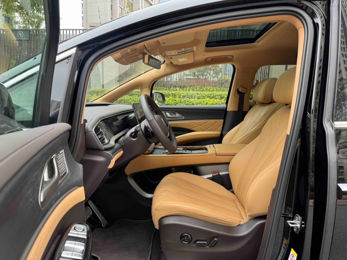 Denza D9 2024 imagen de coche #10