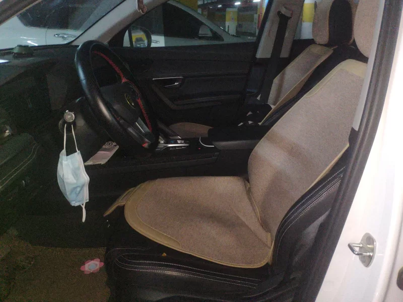 BYD Song Pro 2020 immagine di auto #10