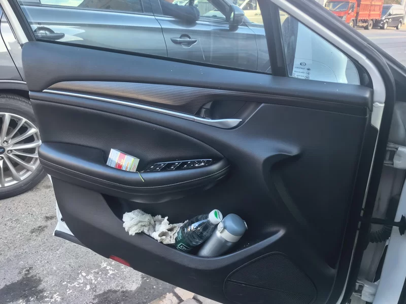 GAC Trumpchi GA6 2019 car image #10