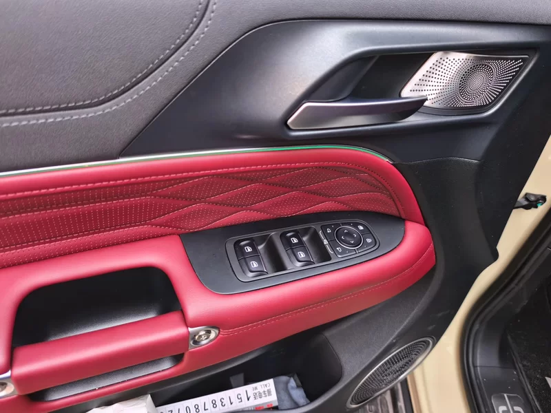 Tank 300 New Energy 2025 car image #10