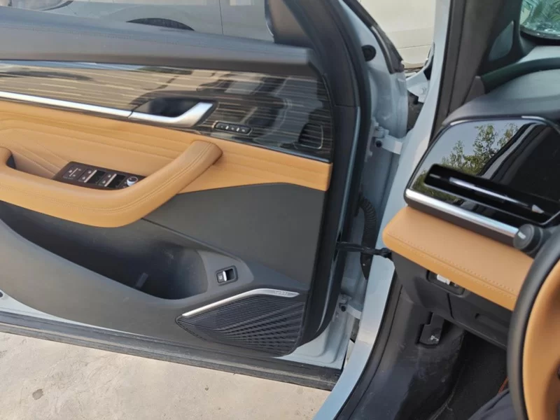 GEELY Monjaro EREV 2023 immagine di auto #10