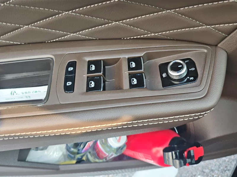 Volkswagen Viloran 2020 car image #10