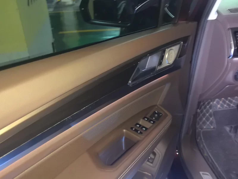 Volkswagen Viloran 2021 car image #10