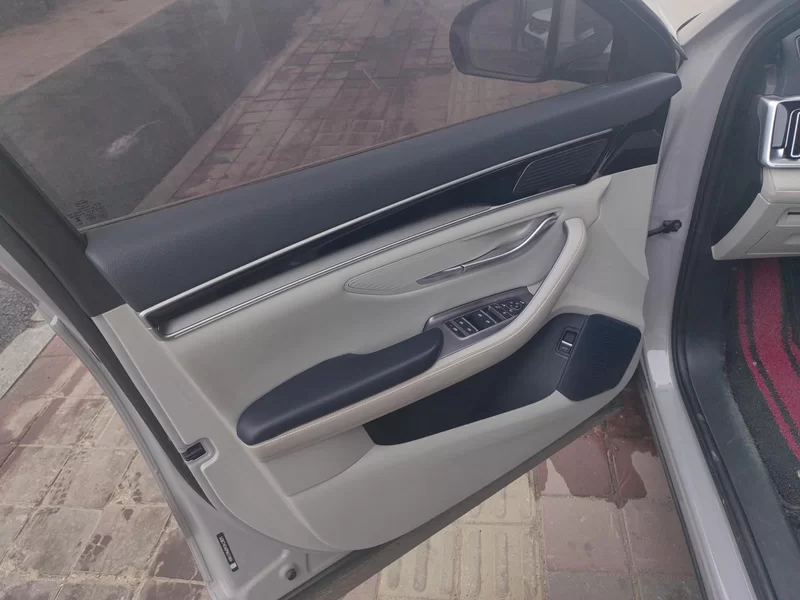 BYD Song Plus New Energy 2023 car image #10