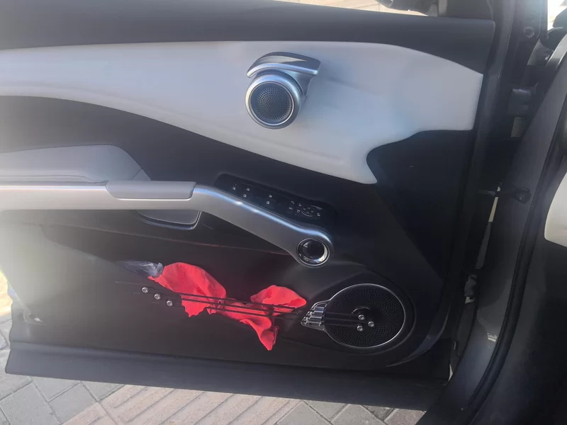 BYD Yuan Plus 2023 car image #10