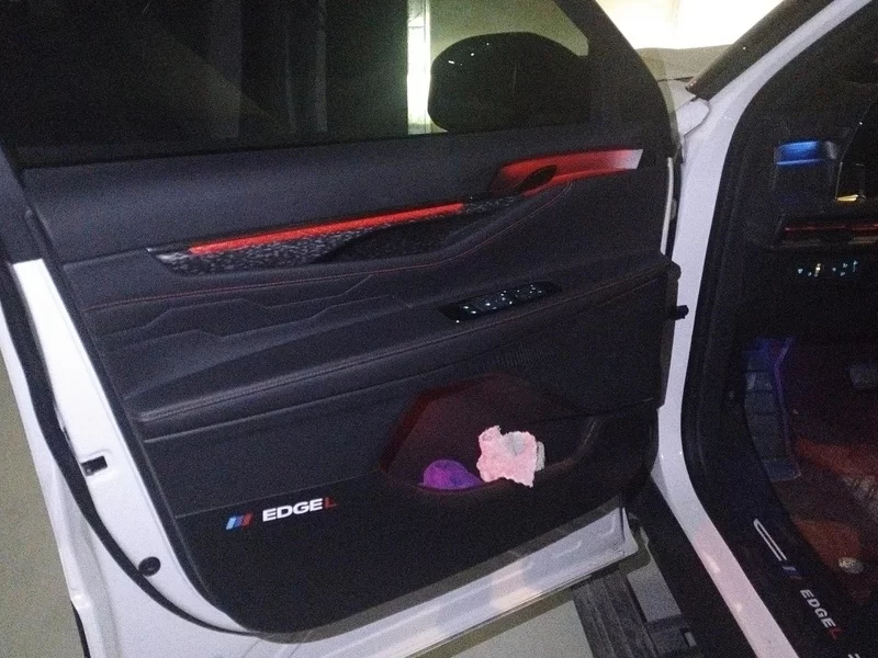 Ford Edge 2023 صورة سيارة #10