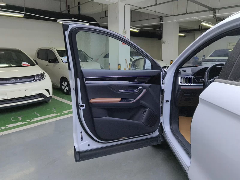 BYD Song Plus 2020 immagine di auto #10