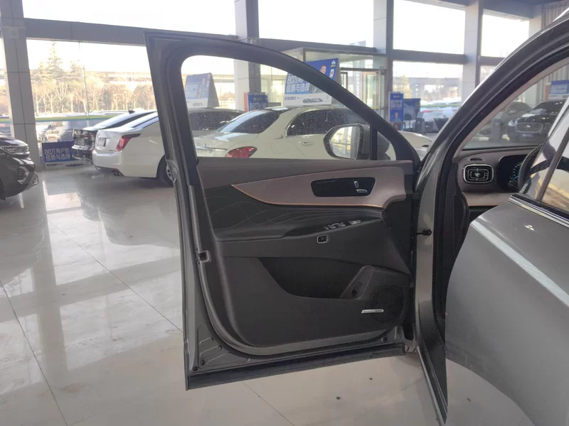 Chery Tiggo9 C-DM 2024 immagine di auto #10