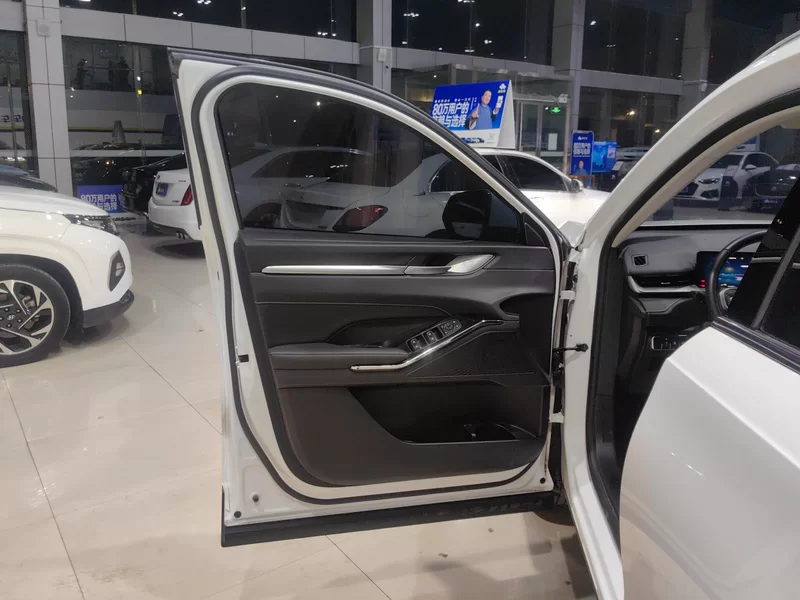 Haval H6 2022 #10 Haval H6 2022 car image #10