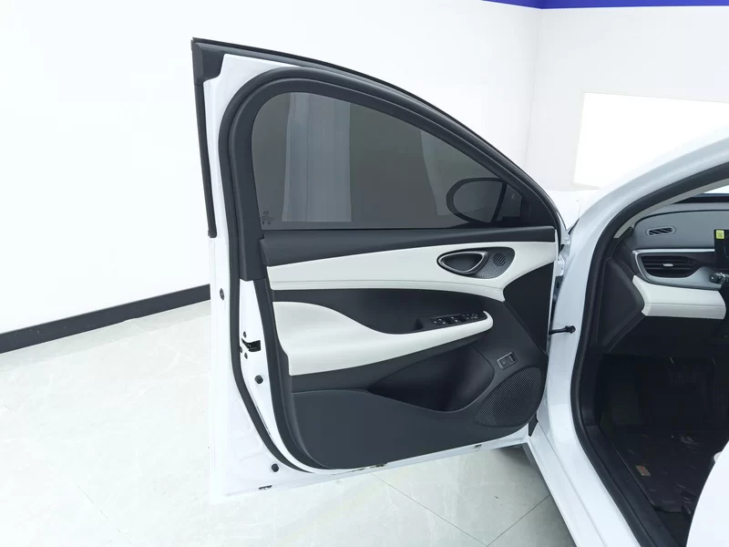 BYD 2025 immagine di auto #10