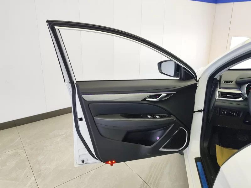 Emgrand 2020 #10 Emgrand 2020 car image #10