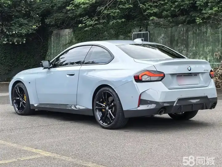 BMW 2 Series (Imported) 2017 car image #10