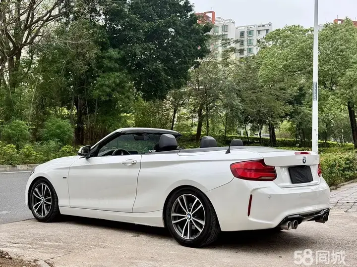 BMW 2 Series (Imported) 2018 car image #10