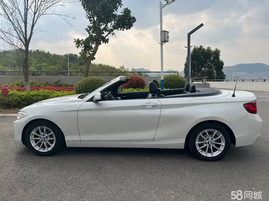 BMW 2 Series (Imported) 2016 #10 BMW 2 Series (Imported) 2016 изображение автомобиля #10