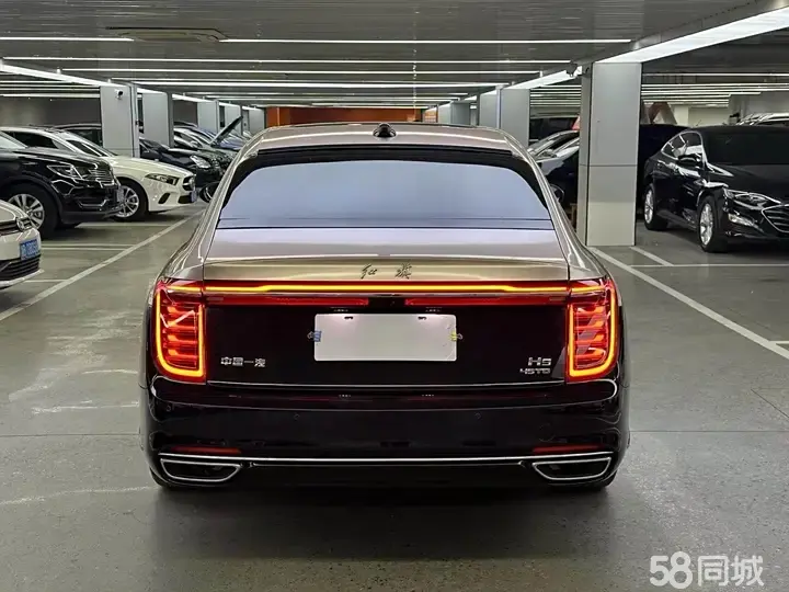 HongQi H9 2021 car image #10