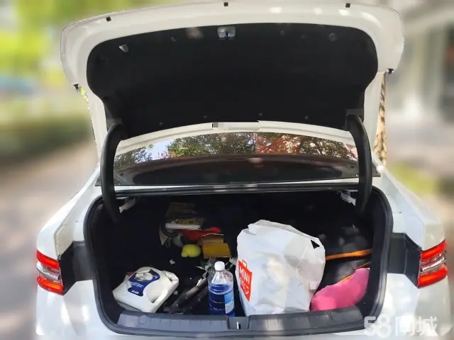 BYD Qin Pro 2019 car image #10