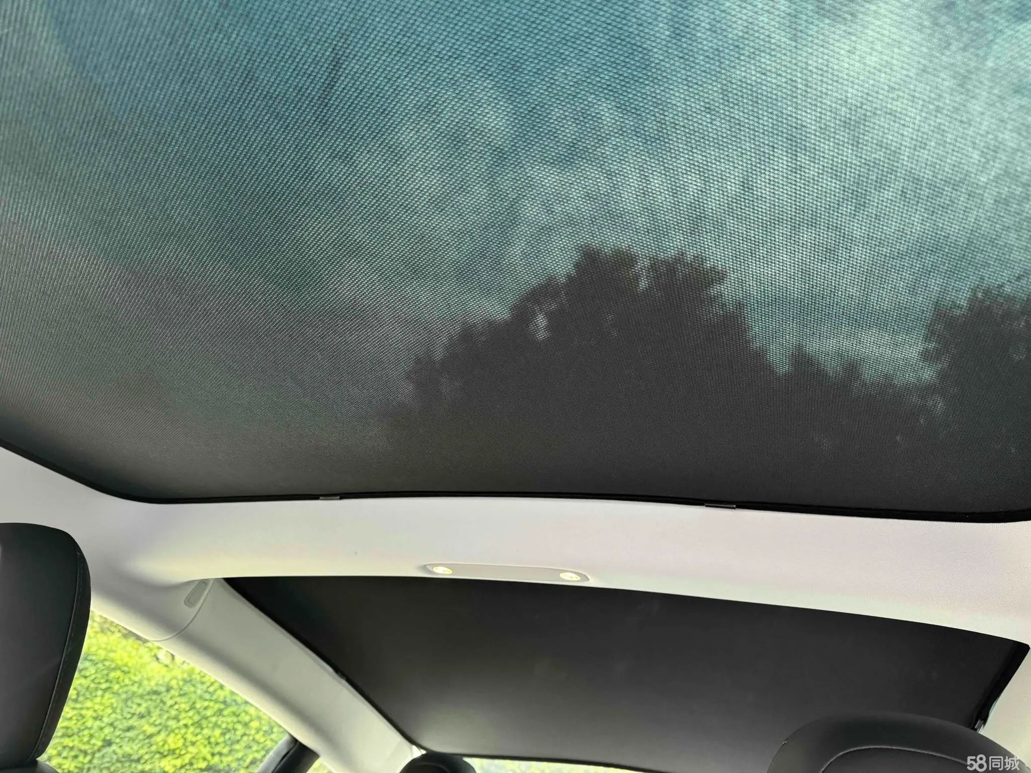 特斯拉 Model 3(进口) 2019 汽车图片 #10