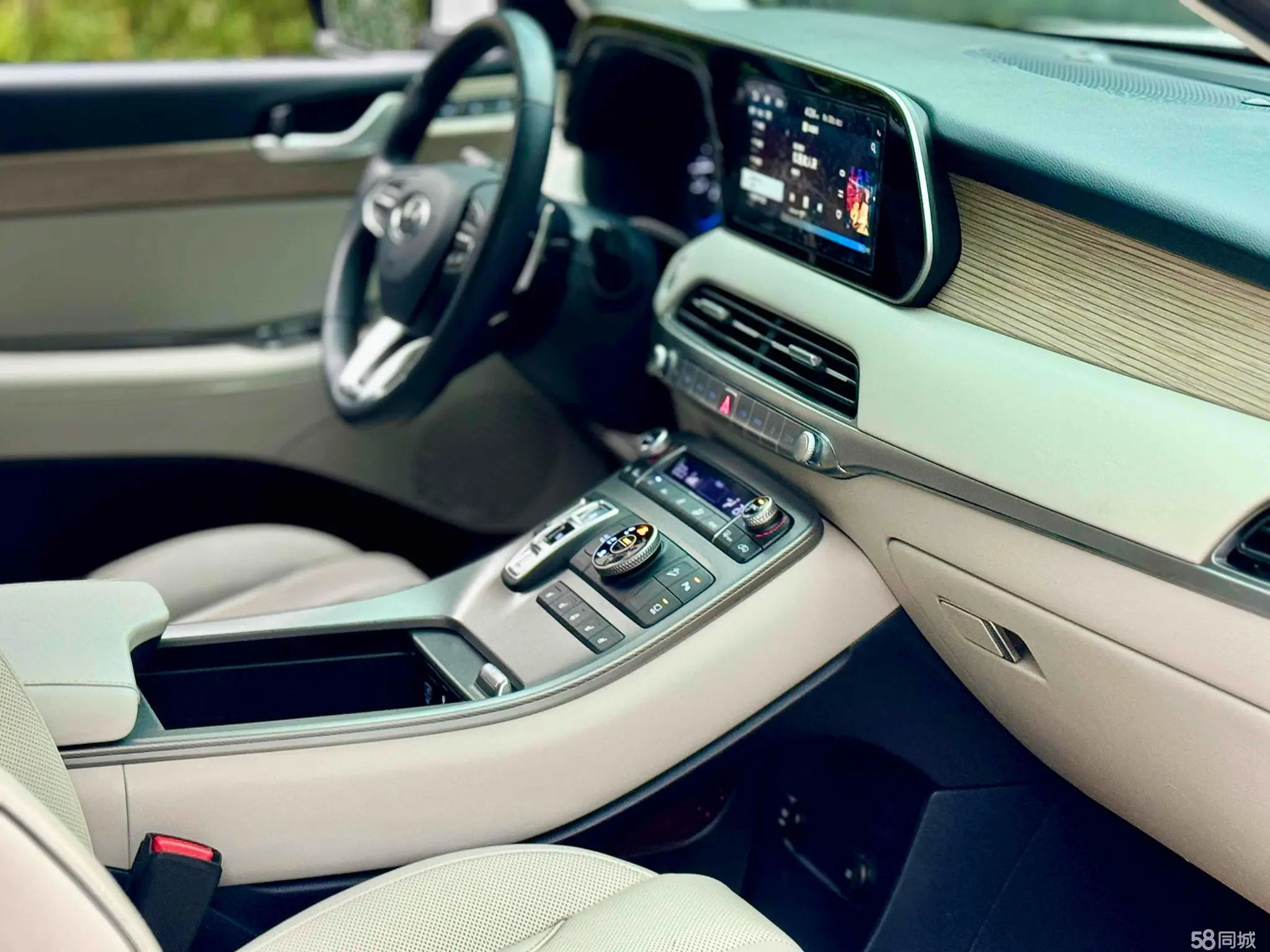 Hyundai Palisade 2021 car image #10