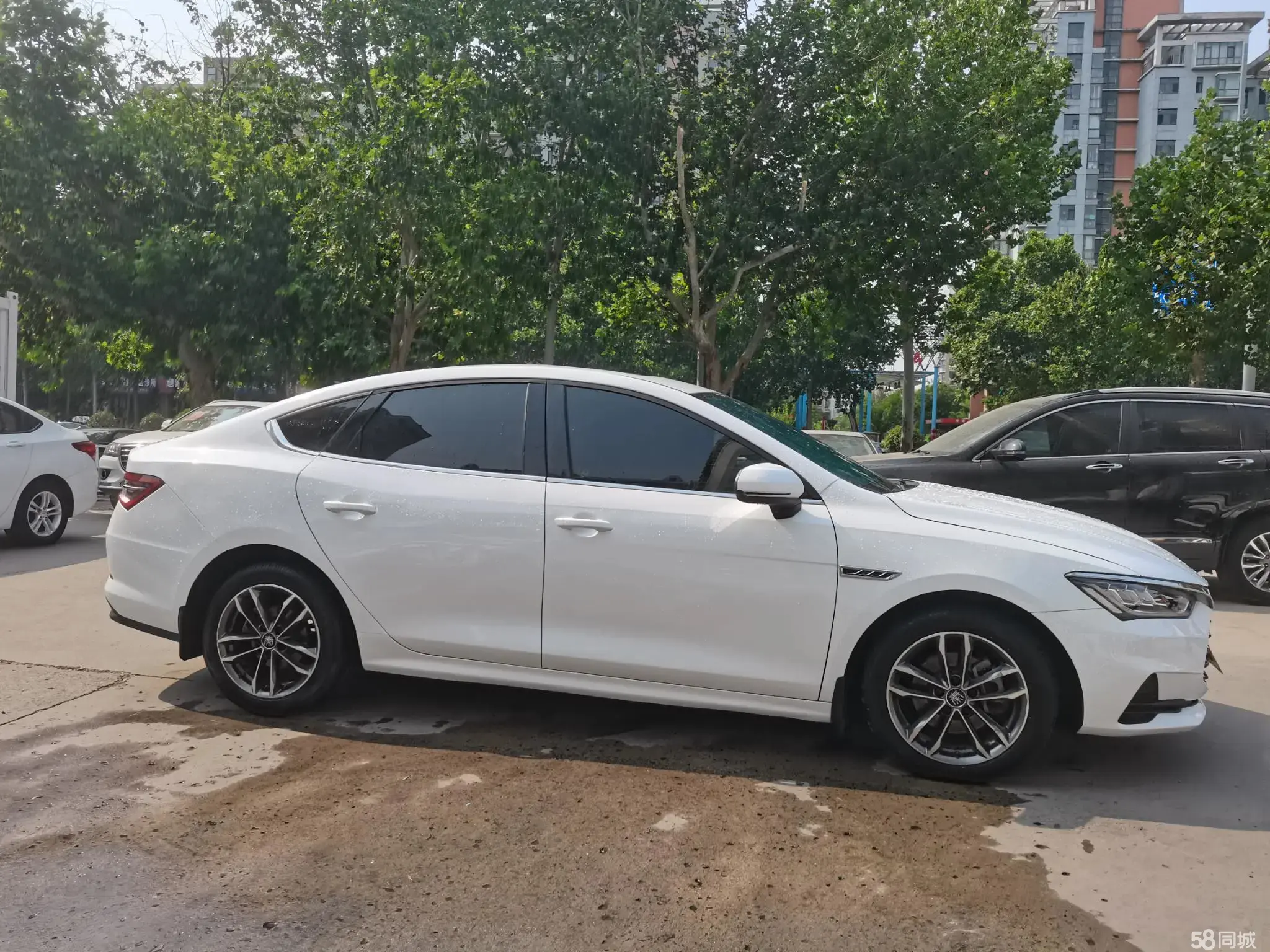 BYD Qin Pro 2021 #10 BYD Qin Pro 2021 car image #10