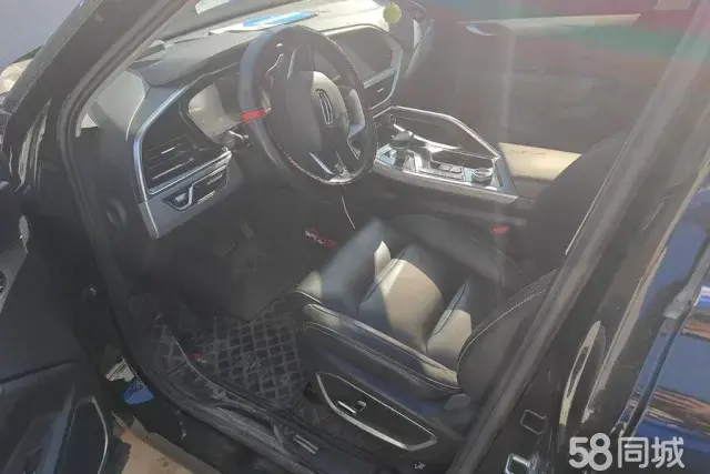 GEELY Tugella 2020 car image #10