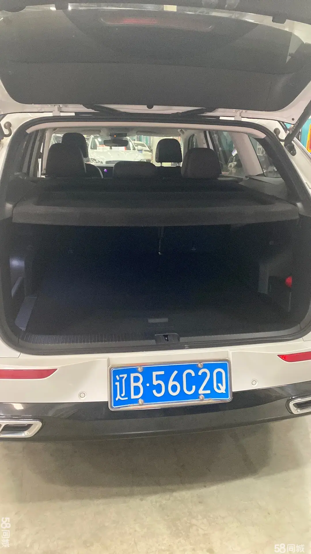 Volkswagen Tavendor 2022 car image #10