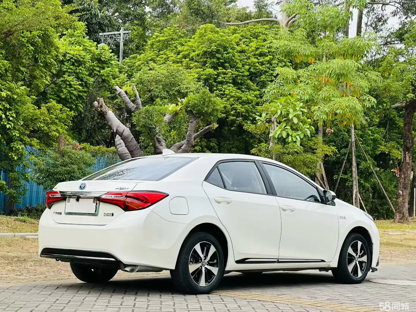 Toyota Levin Hybird E+ 2019 car image #10