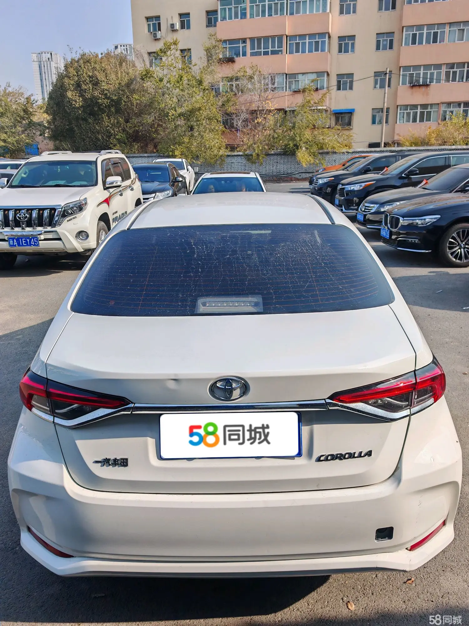 Toyota Corolla 2022 car image #10