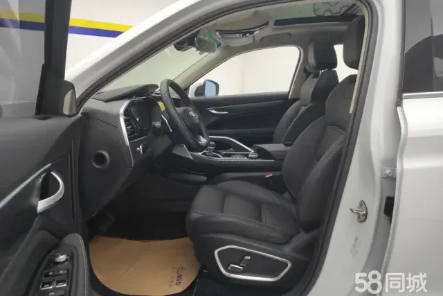 GEELY Tugella 2020 car image #10