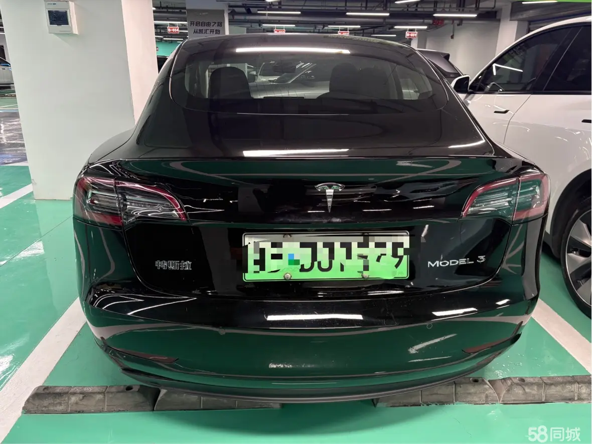 Tesla Model 3 2020 car image #10