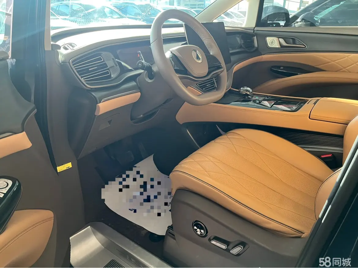 Denza D9 2023 car image #10