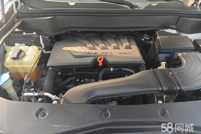 Haval F7x 2020 car image #10