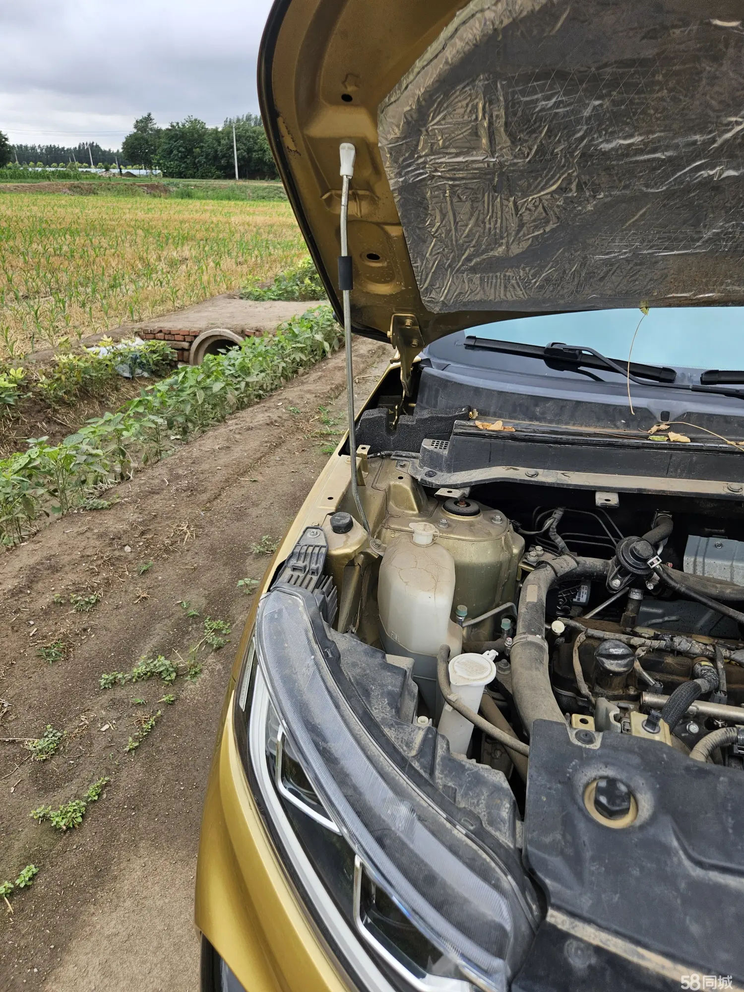 Soueast DX5 2020 imagem de carro #10