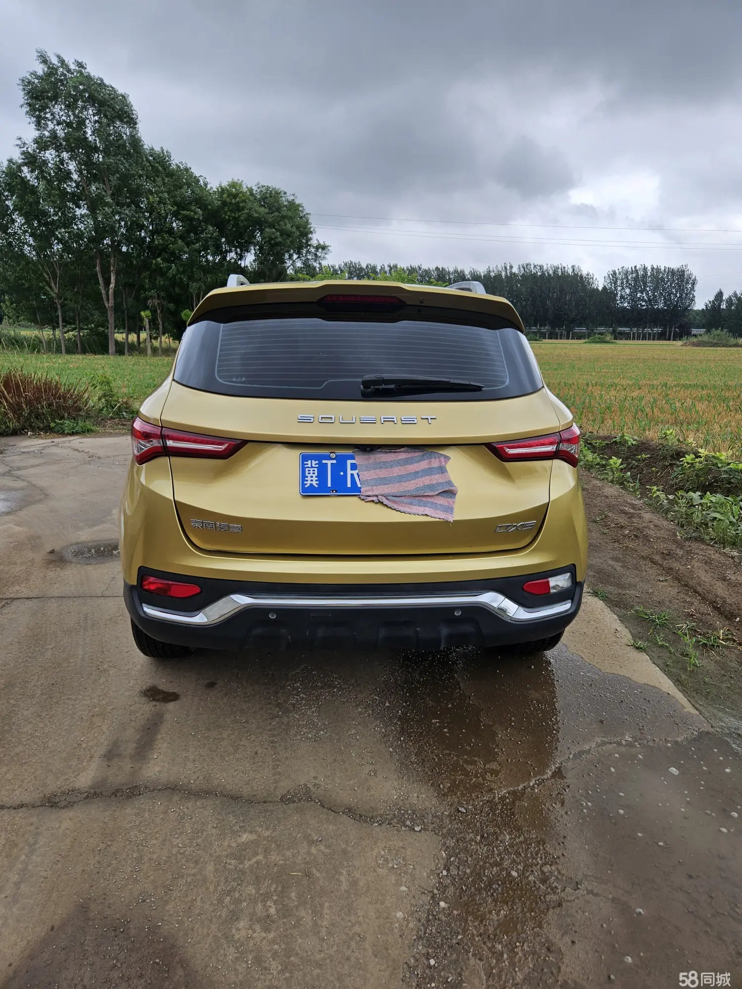 Soueast DX5 2020 imagen de coche #10