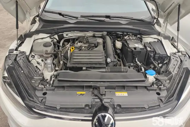 Volkswagen Lamando 2023 car image #10