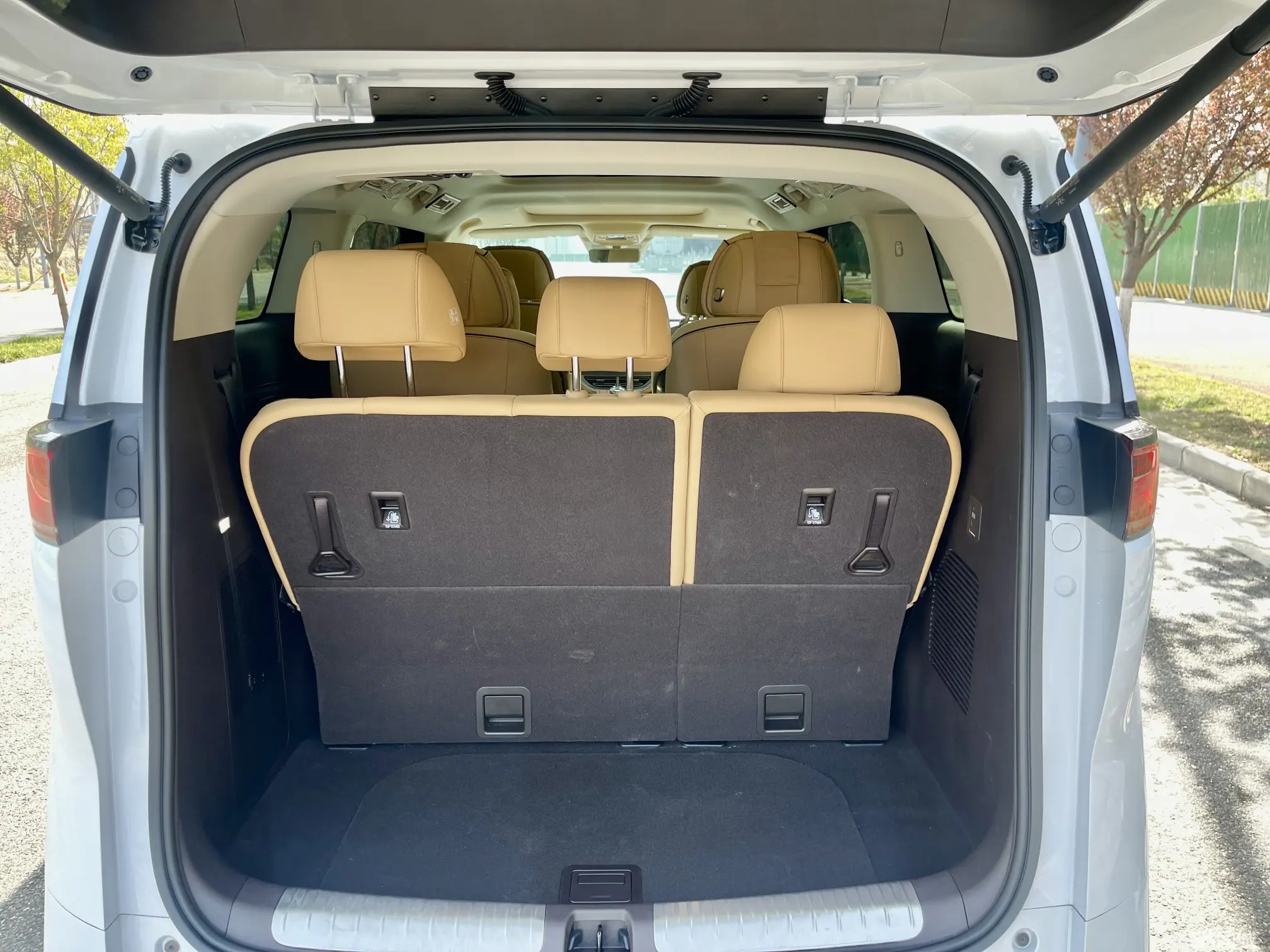 Denza D9 2024 immagine di auto #10