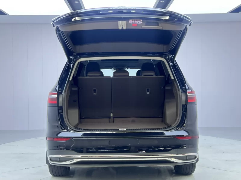 Volkswagen Viloran 2022 car image #10