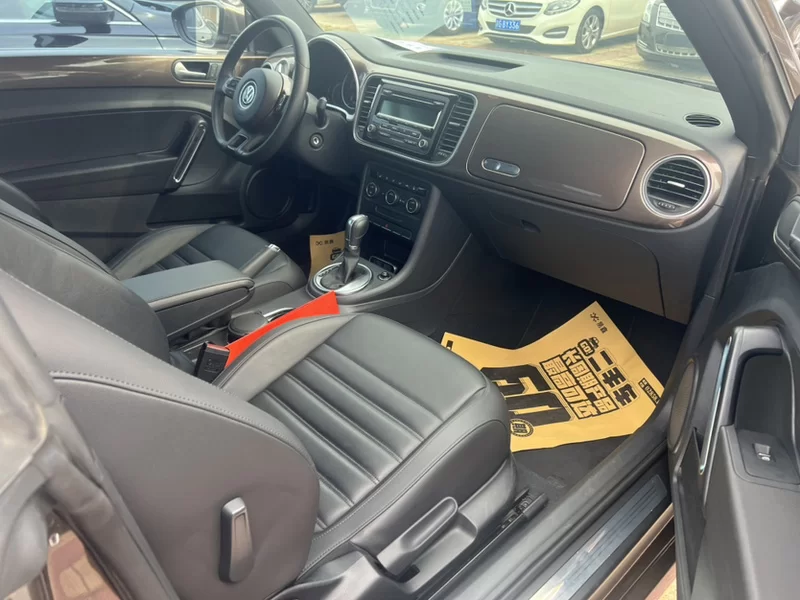 大众 甲壳虫 2016 汽车图片 #10