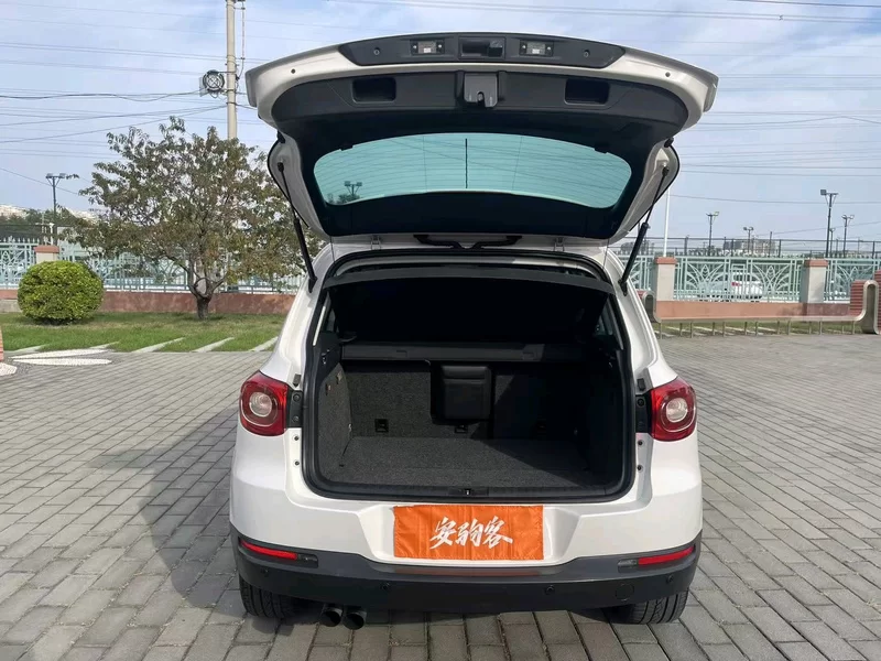 大众 Tiguan 2009 汽车图片 #10